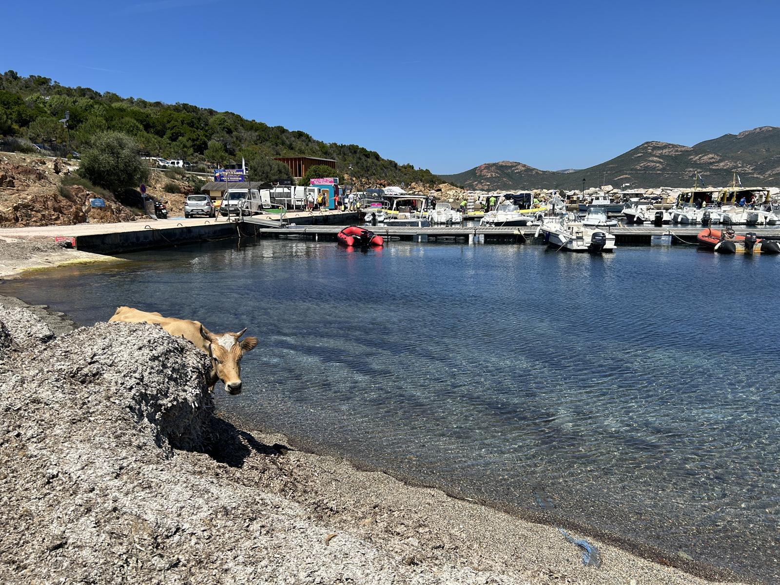 corse 2026 08